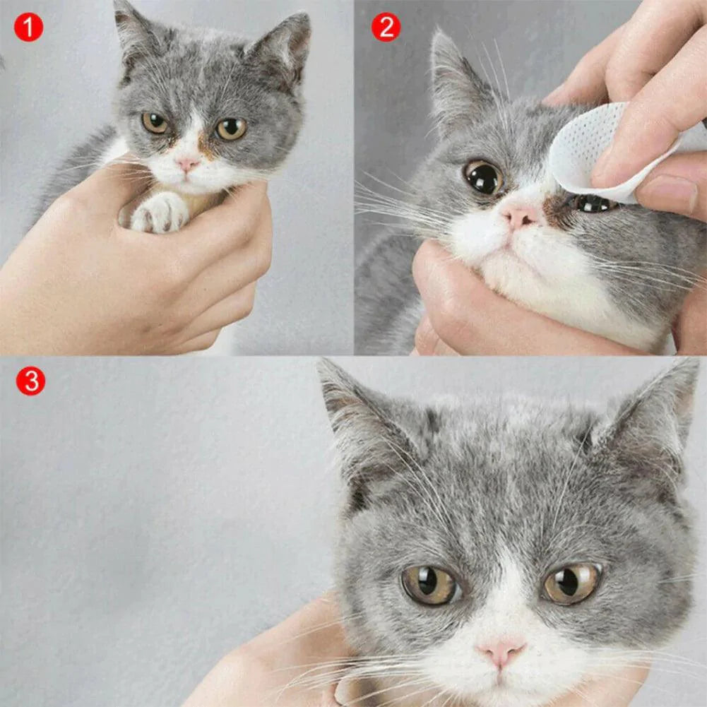 Lenços HootPet - Lenço para combate de lágrimas ácidas