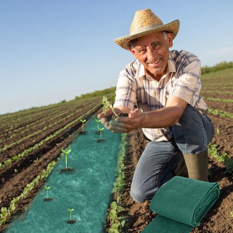 Biogram - Tapete Biodegradável de Sementes de Grama